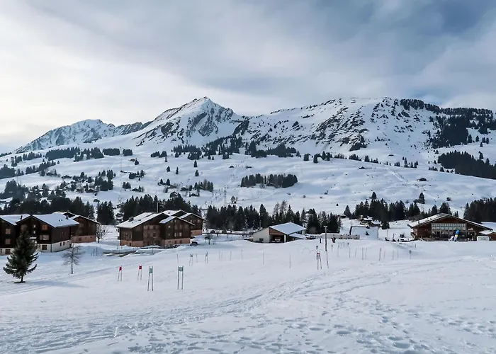 Daire Les Bluets By Interhome Les Mosses